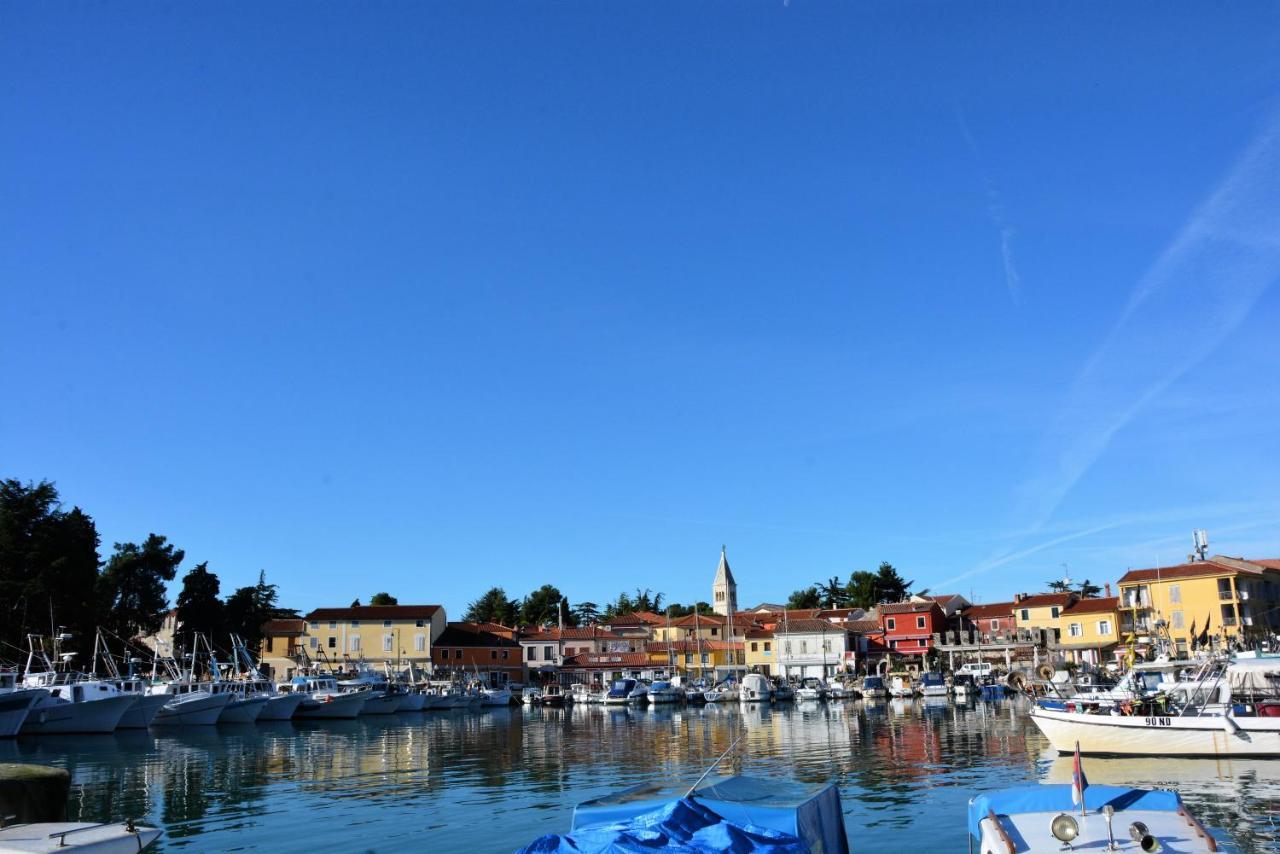 Villa Vienna Novigrad Istria Exteriör bild