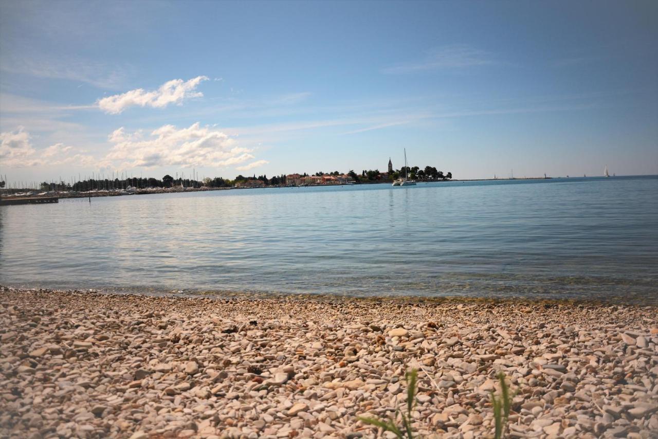 Villa Vienna Novigrad Istria Exteriör bild