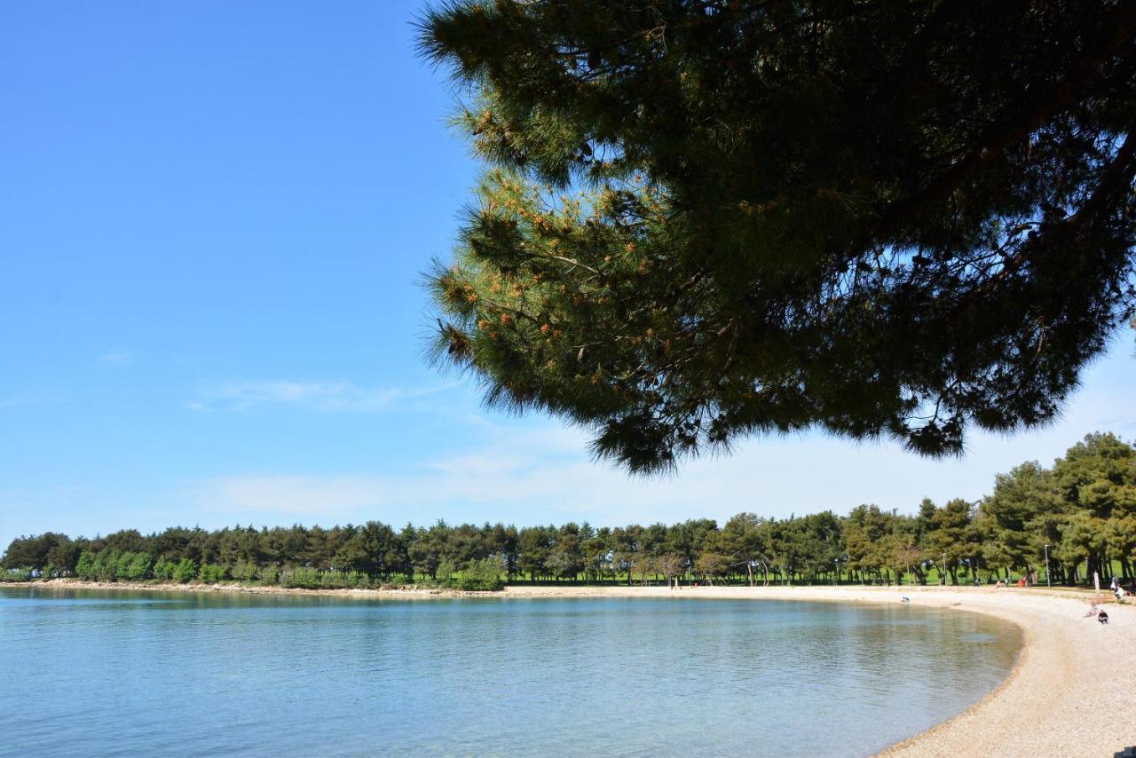 Villa Vienna Novigrad Istria Exteriör bild