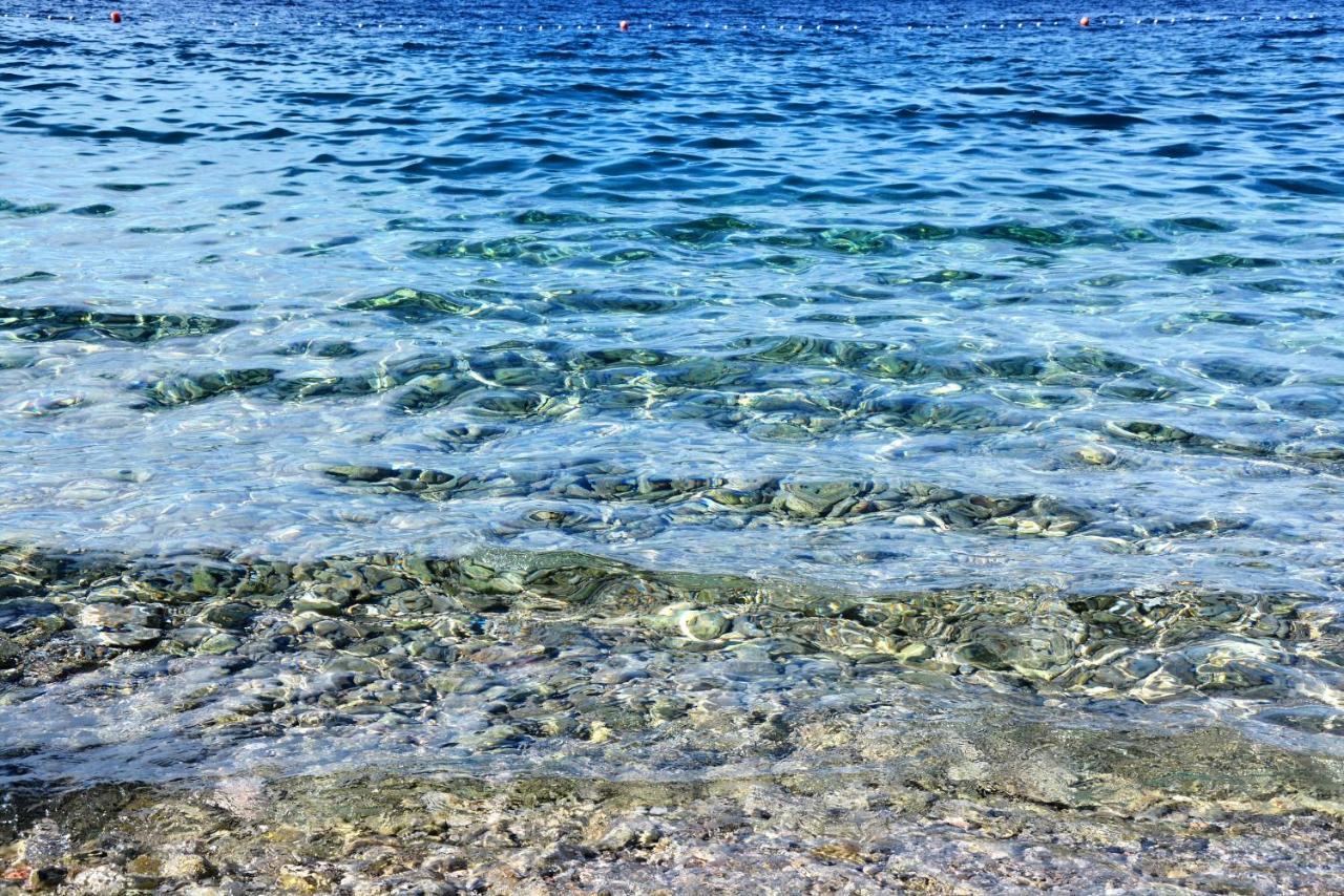 Villa Vienna Novigrad Istria Exteriör bild